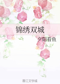 锦绣双城