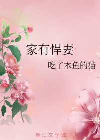 家有悍妻gl