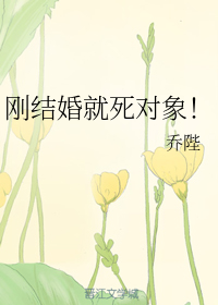 刚结婚就死对象！（下）