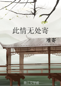 此情无处寄