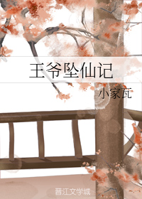 王爷坠仙记