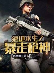 绝地求生之暴走枪神
