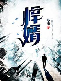 悍婿