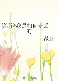 [综]论我是如何走丢的