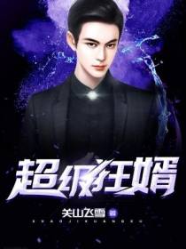 超级狂婿