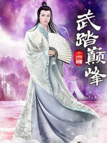 武踏巅峰