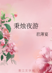 秉烛夜游