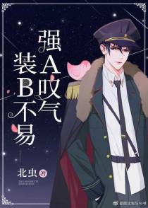 装B不易，强A叹气+番外