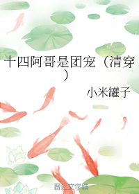 十四阿哥是团宠（清穿）