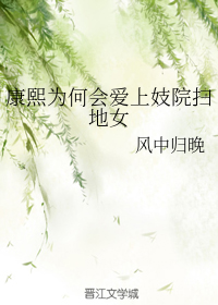 康熙为何会爱上妓 院扫地女
