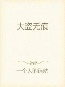 大盗无痕