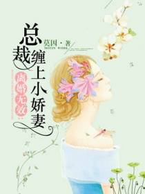 总裁缠上小娇妻