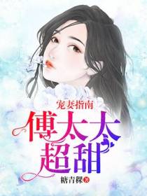宠妻指南：傅太太超甜