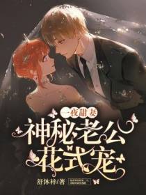 一夜甜妻：神秘老公花式宠