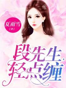 段先生，轻点缠