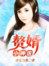 赘婿小神医