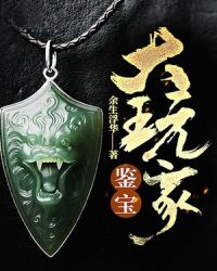 鉴宝大玩家