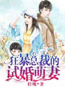 狂暴总裁的试婚萌妻