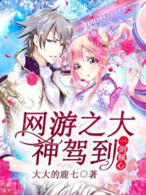 网游之大神驾到，一剑倾心