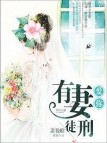 爱你，有妻徒刑