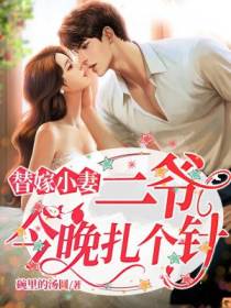 替嫁小妻：二爷，今晚扎个针！