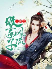 三国之风流败家子