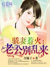 骄妻惹火：老公别乱来