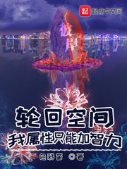 轮回空间我属性只能加智力