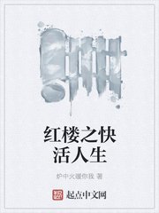 红楼之快活人生