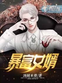 暴富女婿