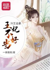 冷王追妻：王妃不好当