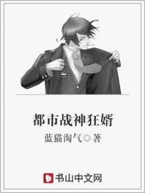 都市战神狂婿