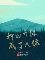我的海贼实在太稳健了