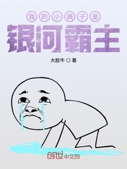 我的小姨子是银河霸主