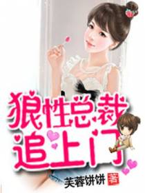 狼性总裁追上门