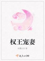 权王宠妻