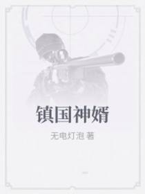 镇国神婿