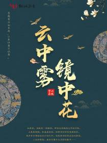 云中雾镜中花