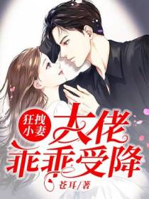 狂拽小妻：大佬乖乖受降