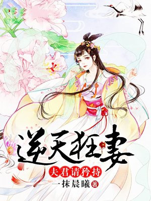 逆天狂妻：夫君请矜持