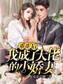 重生后我成了大佬的小娇妻