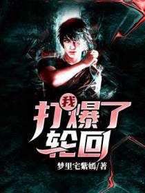 我，打爆了轮回