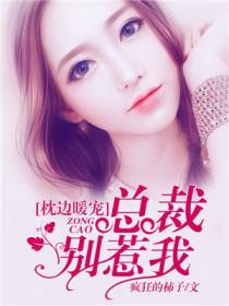 枕边暖宠：boss别惹我