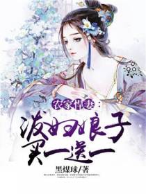 农家悍妻：泼妇娘子买一送一