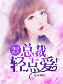 辣妻似火：总裁，晚上好！
