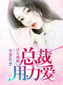日久成瘾：总裁用力爱