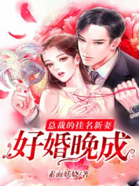 好婚晚成：总裁的挂名新妻
