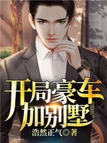 开局豪车加别墅