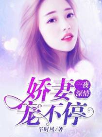 一夜深情：娇妻宠不停