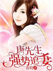 唐先生强势追妻